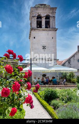 Sibenik, Gespanschaft Sibenik-Knin, Kroatien. Mittelalterlicher mediterraner Garten des St. Lorenz-Klosters. Stockfoto