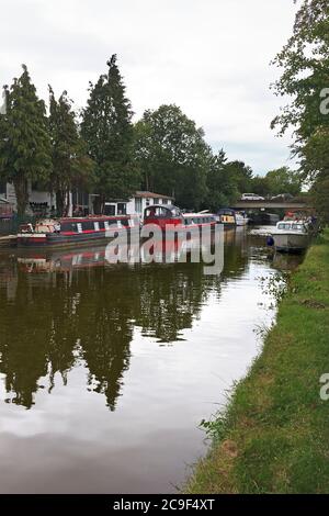 Kanalboote vertäuten an der Willowbridge Marina am Grand Union Canal in Stoke Hammond, Milton Keynes Stockfoto