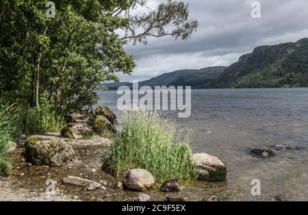 Die Uferlinie von Ullswater im Lake District Nationalpark an einem gemischten Sommernachmittag. Stockfoto