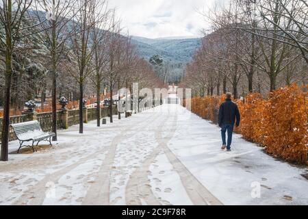 Mann, der durch die schneebedeckten Gärten spazierenging. La Granja de San Ildefonso, Segovia, Castilla Leon, Spanien. Stockfoto