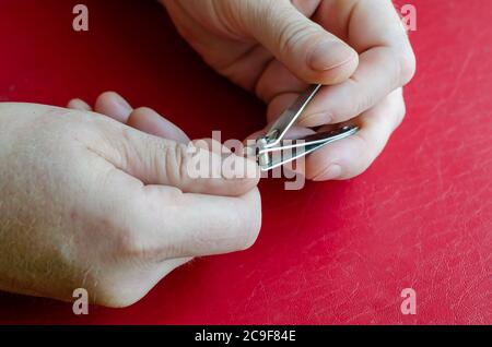 Der Kaukasusmann mittleren Alters schneidet sich die Nägel. Nagelknipser in männlichen Händen auf einem roten Tisch. Gesundheit und Hygiene. Nahaufnahme. Stockfoto