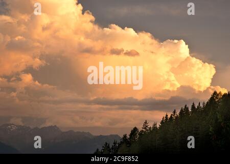 Wunderschöne, farbenfrohe Wolken bei Sonnenuntergang. Pinien im Vordergrund und Berge im Hintergrund. Aus den Bergen geschossen. Stockfoto