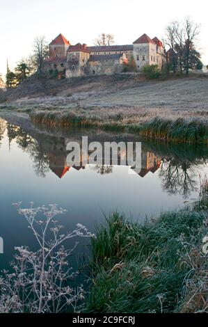 Svirzh Castle spiegelt sich im See. Frostige Pflanzen im Vordergrund. Am frühen Morgen. Stockfoto