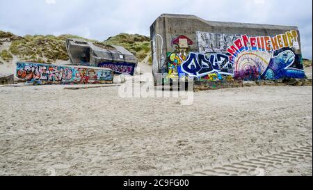 Ökologische Wandmalerei auf einem deutschen Bunker des Zweiten Weltkriegs, Berck, Pas-de-Calais, Haut-de France, Frankreich Stockfoto