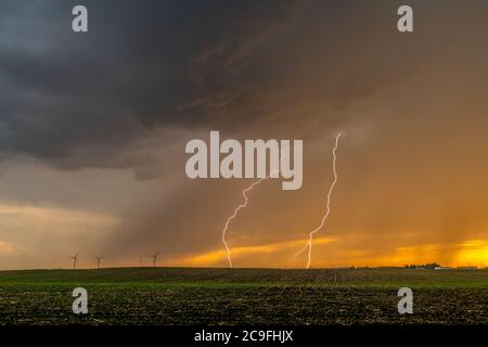 Ein Gewitter bei Sonnenuntergang passiert die Great Plains, während strömender Regen und knackende Blitze den Horizont markieren. Stockfoto