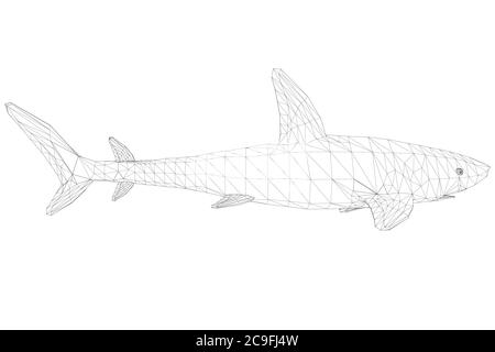 Wireframe Low Poly Blue Hai. 3D. Seitenansicht. Vektorgrafik. Stock Vektor