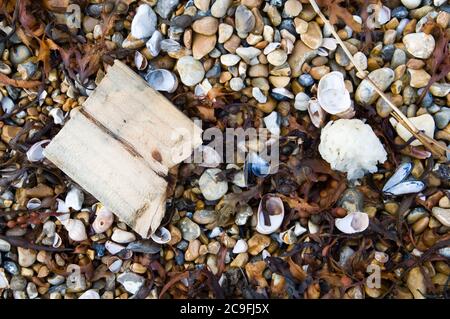 Müll, Müll, an einem Kieselstrand. Stockfoto