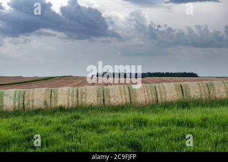 Zwanzig Heuballen sind auf einem Hügel auf einer Farm im Mittleren Westen gestapelt. Das Heu wird als Futter für verschiedene Nutztiere verwendet. Stockfoto