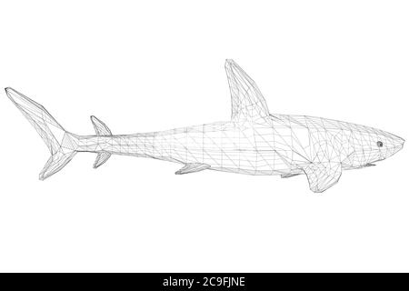 Wireframe Low Poly Blue Hai. 3D. Seitenansicht. Vektorgrafik. Stock Vektor