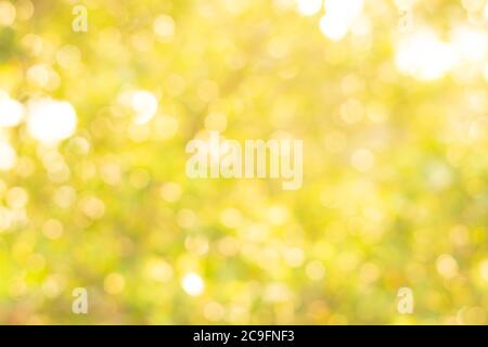 Unscharfer heller Herbsthintergrund. Abstraktes gelbes Bokeh für Herbsthintergrund. Stockfoto