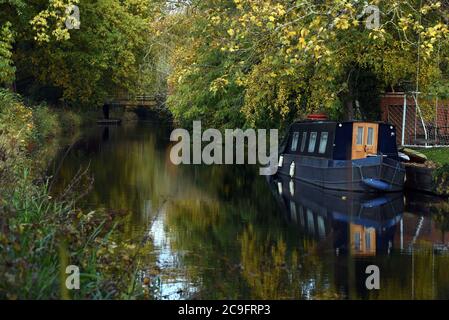 Herbstfarben überall auf diesem Foto von Bäumen und einem Boot spiegeln sich in den stillen Gewässern des schönen Basingstoke Canal in Surrey Stockfoto