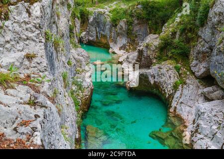 Kristallklares smaragdgrünes Wasser des Flusses Soca in Slowenien. Beliebtes Touristenziel Stockfoto