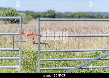 Galvanisierter Stahl Bauernhof Tor über Eingang zum Weizenfeld in der Sommersonne, aber geschlossen mit Polyester-Seil Knoten. Zugriff auf Metaphern verweigert, Barriere, Eintritt verboten. Stockfoto