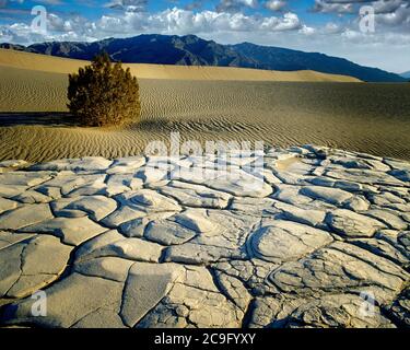 USA - KALIFORNIEN: Death Valley National Park Stockfoto