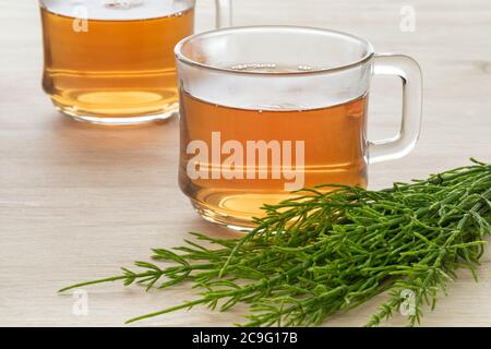 Glas Tasse mit heißer Feld Schachtelhalm Kräutertee und frischen grünen Zweigen aus nächster Nähe Stockfoto