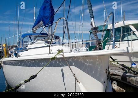 Bug einer Segelyacht in einer Marina vertäut. Seile und Segel. Stockfoto