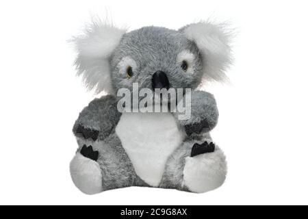 Typisches Souvenir aus Australien. Weiches Spielzeug Koala Bär isoliert auf weißem Hintergrund. Stockfoto