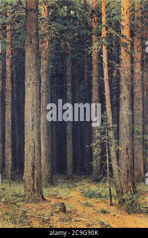 Ivan Shishkin - Waldreservat, Pine Grove. Stockfoto