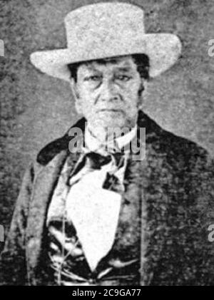 James Young Kanehoa-Nahaufnahme. Stockfoto