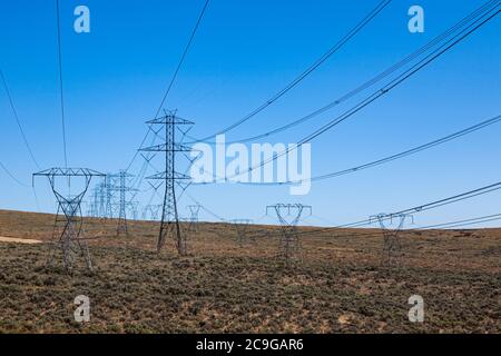 Stromkabel und Masten durch die Buschwüste im zentralen Washington State USA Stockfoto