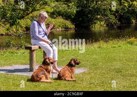 Bolton Abbey, Skipton, Großbritannien. Juli 2020. Menschen, die heute in der heißen Hitze auf dem Gelände der Abtei von Bolton sonnenbaden und herumtoben. Kredit: ernesto rogata/Alamy Live Nachrichten Stockfoto