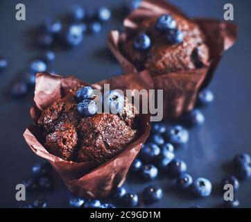 Köstliche Schokoladen-Cupcakes mit Heidelbeerfüllung stehen auf einem dunkelblauen Hintergrund zwischen reifen süßen Heidelbeeren. Süßes Gebäck. Stockfoto