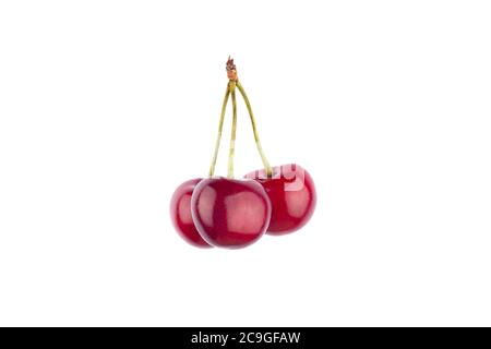 Reife rote Süßkirsche isoliert auf weißem Hintergrund. Makrofoto Nahaufnahme. Stockfoto