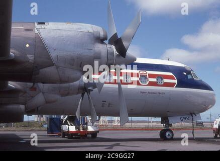 REEVE ALEUTIAN AIRWAYS LOCKHEED L-188 ELECTRA. Stockfoto