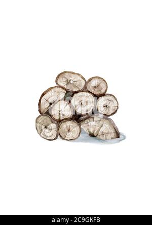 Holzstämme für die Forstwirtschaft und die Holzindustrie. Darstellung von Baumstämmen, Baumstämmen und Planken. Handgezeichnetes Aquarell auf weißem Hintergrund isoliert Stockfoto