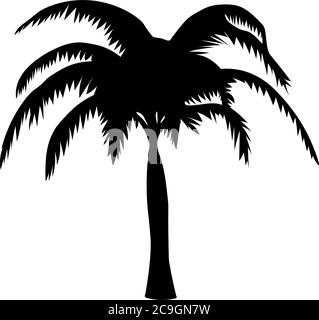 Palm Tree Isolate auf weißem Hintergrund Stock Vektor