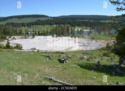 Spätfrühling im Yellowstone National Park: Blick auf Mud Geyser im Mud Volcano Gebiet entlang des Yellowstone Flusses Stockfoto