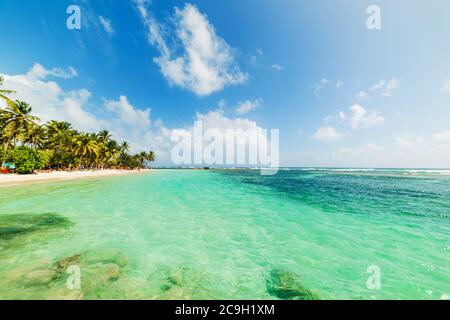 Klares Wasser und Palmen am weltberühmten Strand La Caravelle auf der Insel Guadeloupe, Französisch-westindien. Kleinere antillen, Karibisches Meer Stockfoto