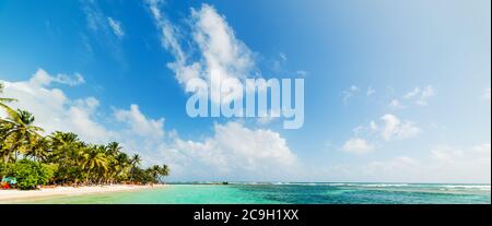 Klares Wasser und Palmen am weltberühmten Strand La Caravelle auf der Insel Guadeloupe, Französisch-westindien. Kleinere antillen, Karibisches Meer Stockfoto