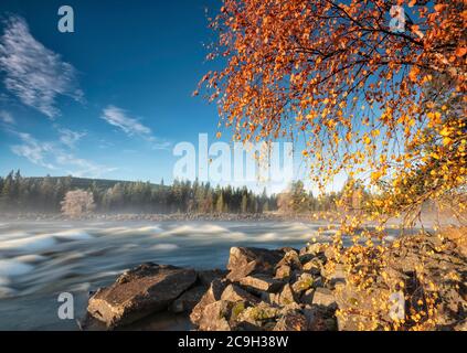 Herbststimmung mit Nebel auf dem Fluss im Abendlicht, Gaellivare, Norrbottens laen, Schweden Stockfoto