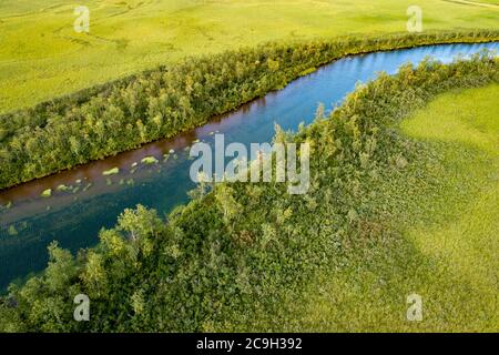 Türkisfarbener Fluss, der durch das üppig grüne Sumpfgebiet fließt, Lappland, Kiruna, Norrbottens laen, Schweden Stockfoto