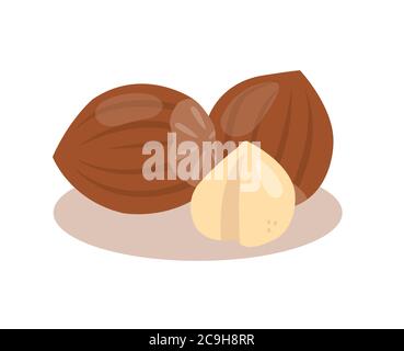 Hazelnut nuts isolated on white background. Stock Vektor