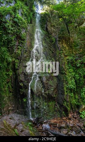 Burgbach Wasserfall bei Bad Rippoldsau-Schapbach im Schwarzwald, Deutschland Stockfoto