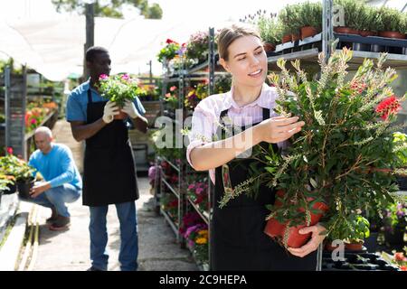 Junge erfahrene Arbeiterin Gartenarbeit in greebhouse, Überprüfung der Blumen Stockfoto