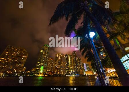 Palmen und Wolkenkratzer im Miami River Walk bei Nacht. Südflorida, USA Stockfoto