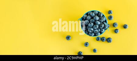 Obst und Gemüse, Vitamin, gesunde Lebensmittel und Getränke, traditionelle Medizin, Gastronomie Konzept - Layout Banner lila Heidelbeere Berrie in Eimer Stockfoto