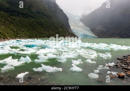 Der zurücktretende Serrano-Gletscher im Nebel, der durch den Klimawandel Eis verliert, Bernardo O´Higgins Nationalpark, Patagonien, Chile. Stockfoto