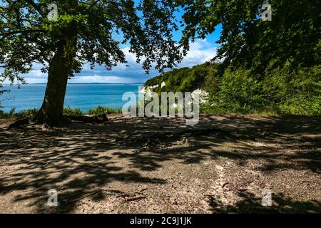 Panoramasicht auf die Kreidefelsen Rügens und die Ostseeküste ('Steilküste') vom Hochuferweg aus gesehen, Nationalpark Jasmund, Rügen, Deutschland. Stockfoto