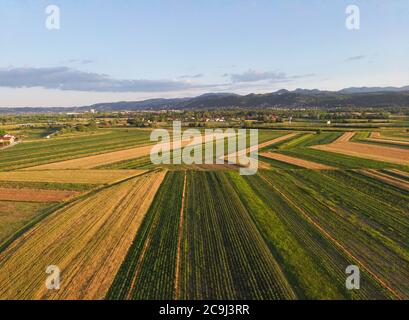 Schöne Farben und Formen von kultivierten Feldern in der Nähe der Touristenstadt Samobor und Berge im Hintergrund Stockfoto