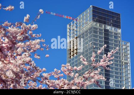 Turin, Piemont/Italien- 03/19/2019- der Bau des Hochhauses der Region Piemont, entworfen vom Architekten Fuksas, im Lingotto Nizza Millefo Stockfoto