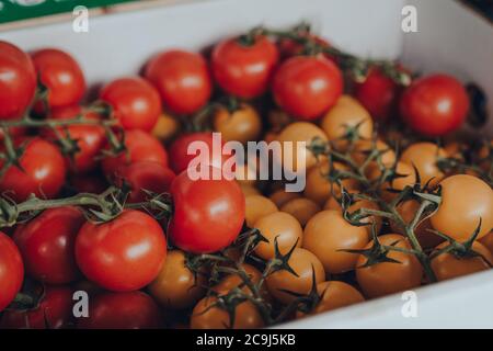 Frische rote und gelbe Kirschtomaten auf der Rebe auf einem Straßenmarkt, selektive flachen Fokus zu verkaufen. Stockfoto