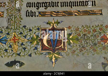 Detail einer Faksimile-Seite aus Les Grande Heures de Jean Duc de Berry, dem berühmten Stundenbuch, das der Herzog von Berry 1409 in Auftrag gab Stockfoto