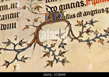 Detail einer Faksimile-Seite aus Les Grande Heures de Jean Duc de Berry, dem berühmten Stundenbuch, das der Herzog von Berry 1409 in Auftrag gab Stockfoto