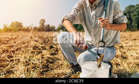 Bodenprobenahme. Weibliche Agronomin nimmt Probe mit Boden-Probe-Probenehmer. Stockfoto
