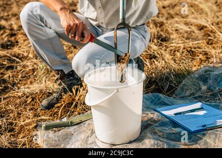 Bodenprobenahme. Weibliche Agronomin nimmt Probe mit Boden-Probe-Probenehmer. Stockfoto