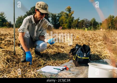 Messung der Bodentemperatur mit Thermometer. Weibliche Agronomin Messung der Bodentemperatur im Feld Stockfoto